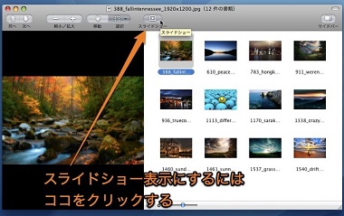 Macの写真管理を簡単にする方法とは 写真アプリの使い方を解説